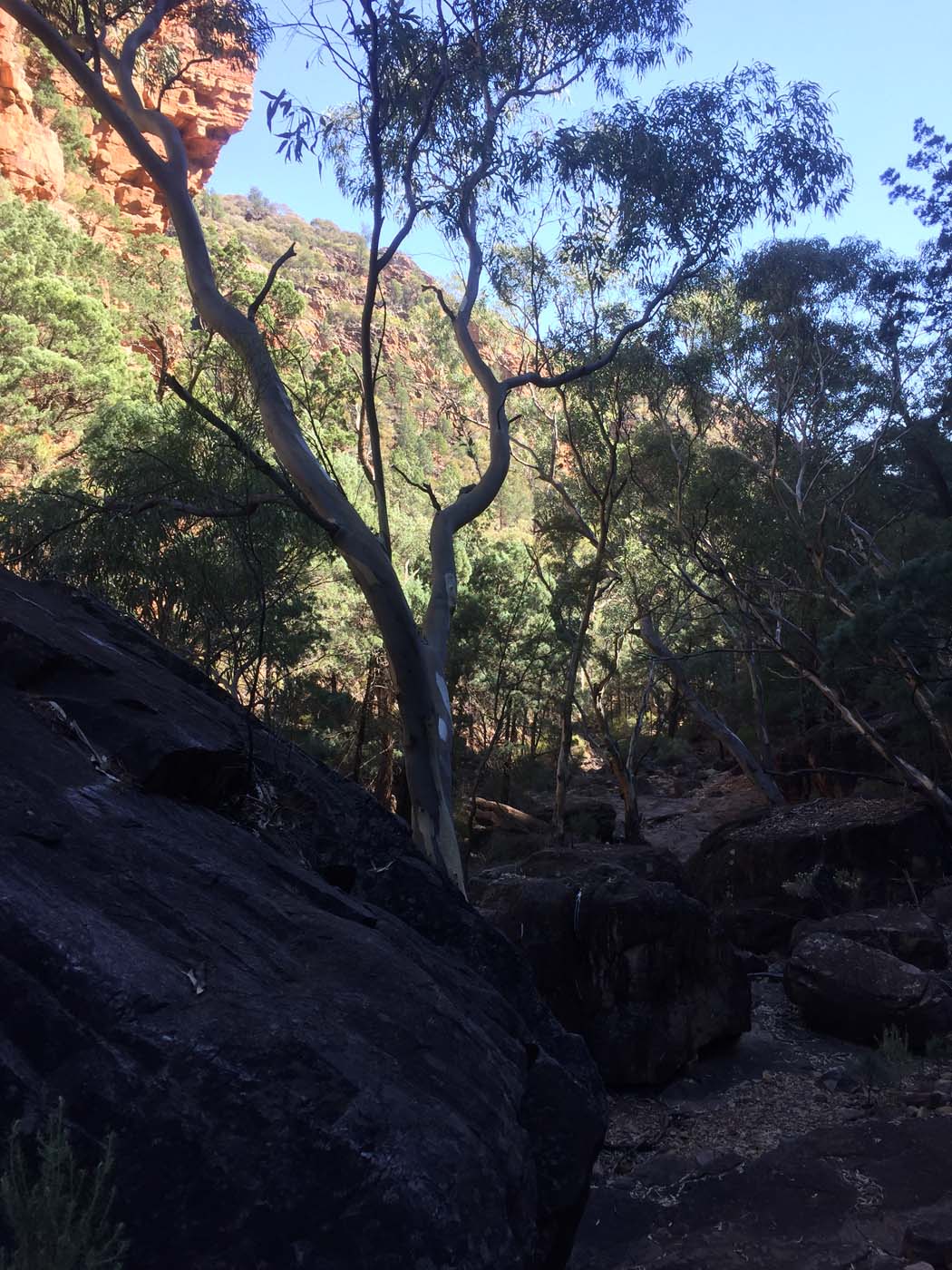 Malloga falls flinders ranges (24)