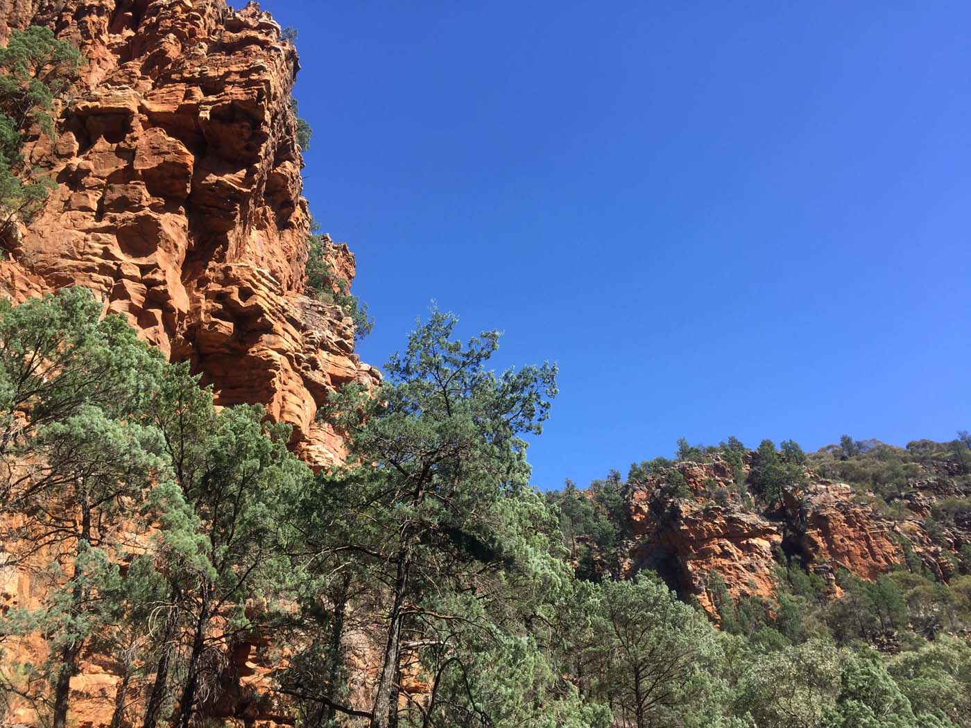 Malloga falls flinders ranges (25)