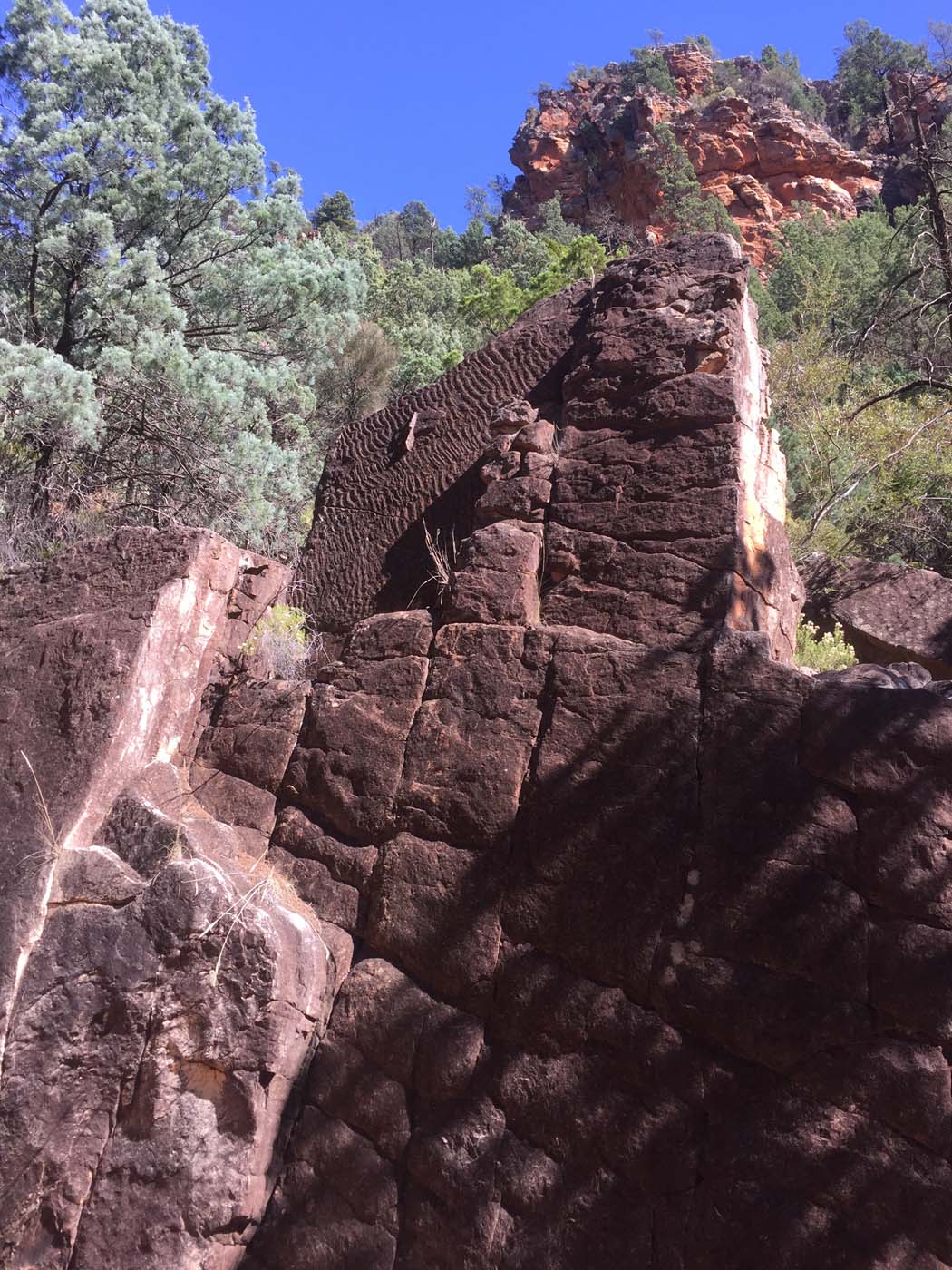 Malloga falls flinders ranges (27)