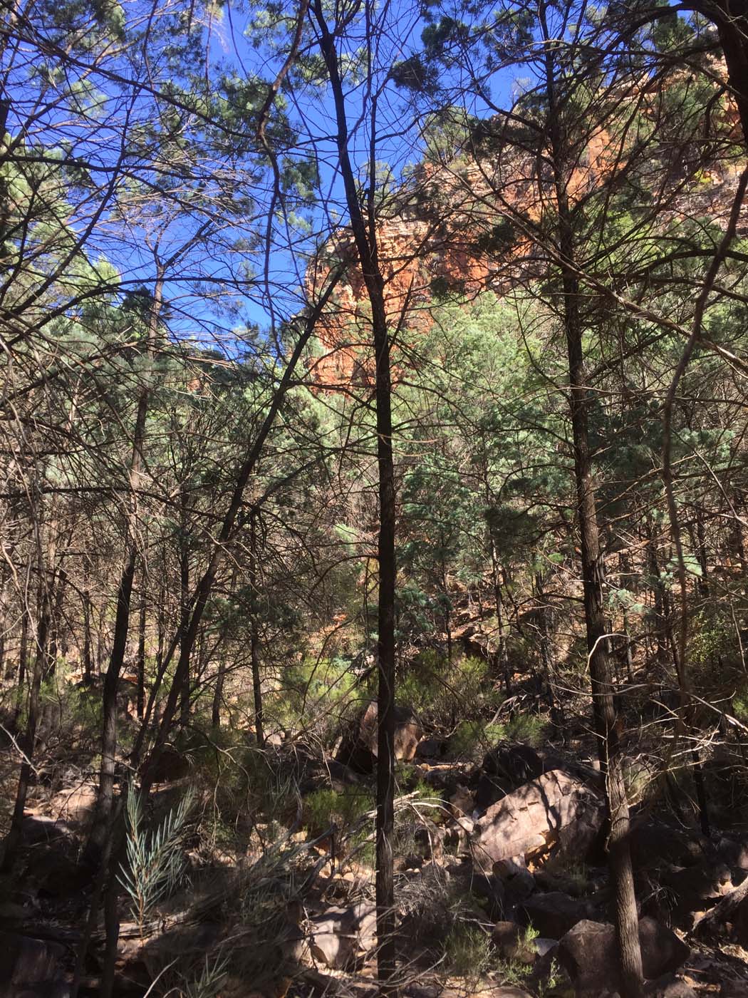 Malloga falls flinders ranges (28)