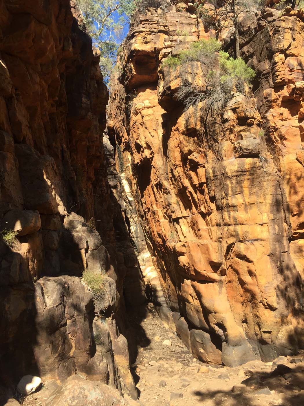 Malloga falls flinders ranges (35)