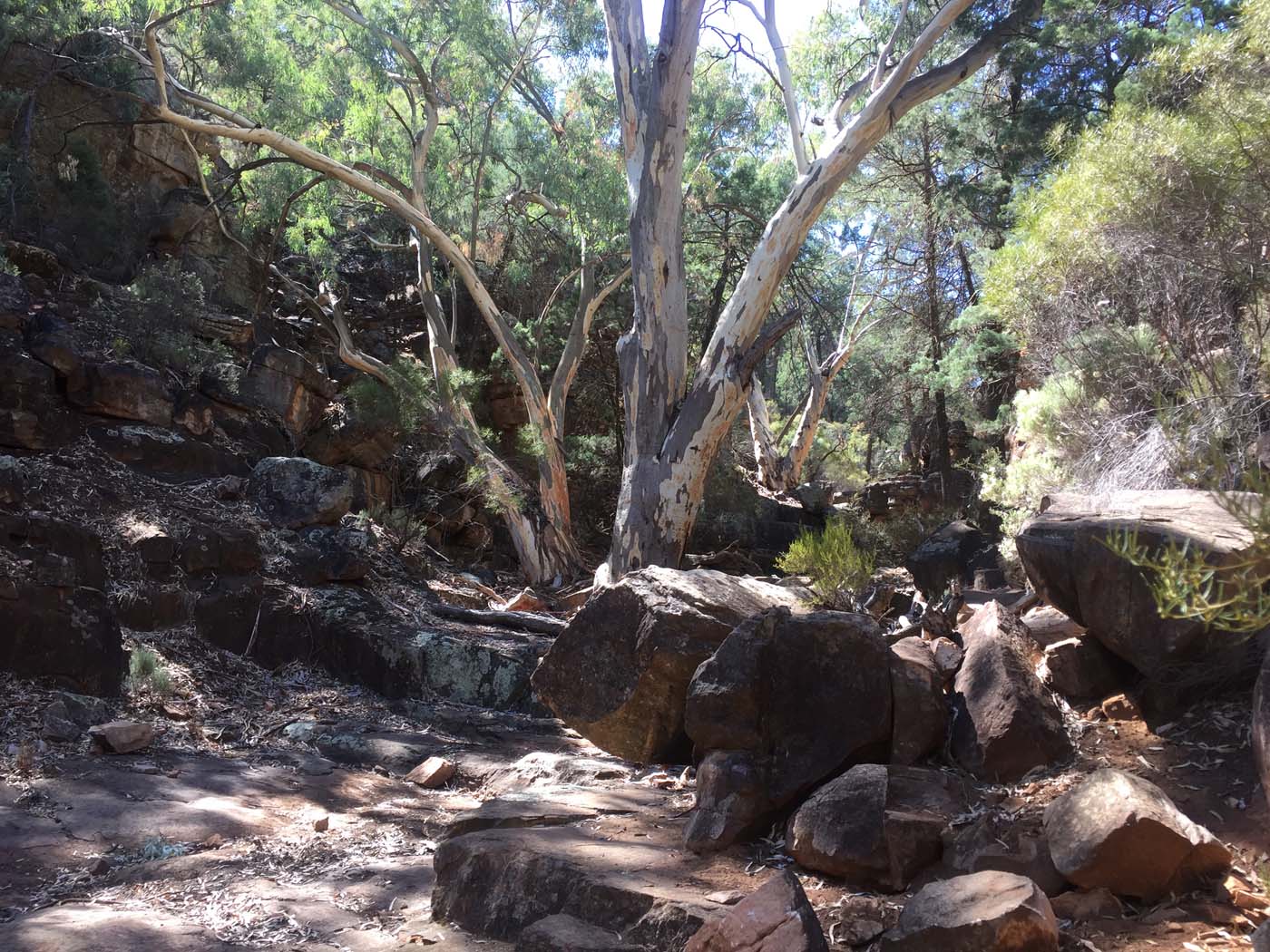 Malloga falls flinders ranges (36)