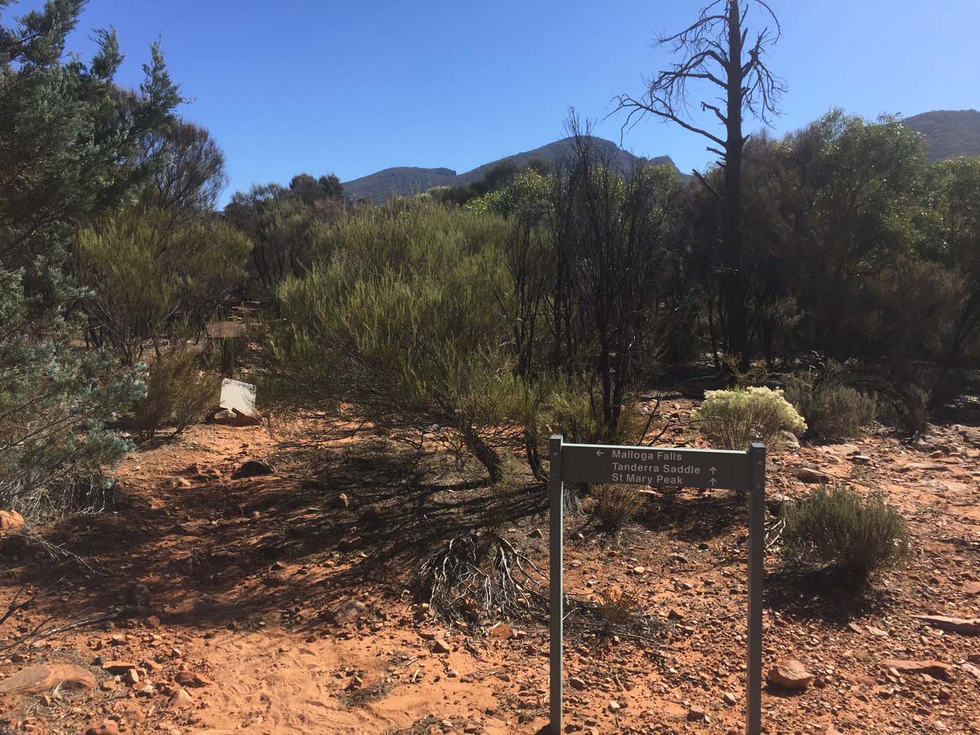 Malloga falls flinders ranges (5)
