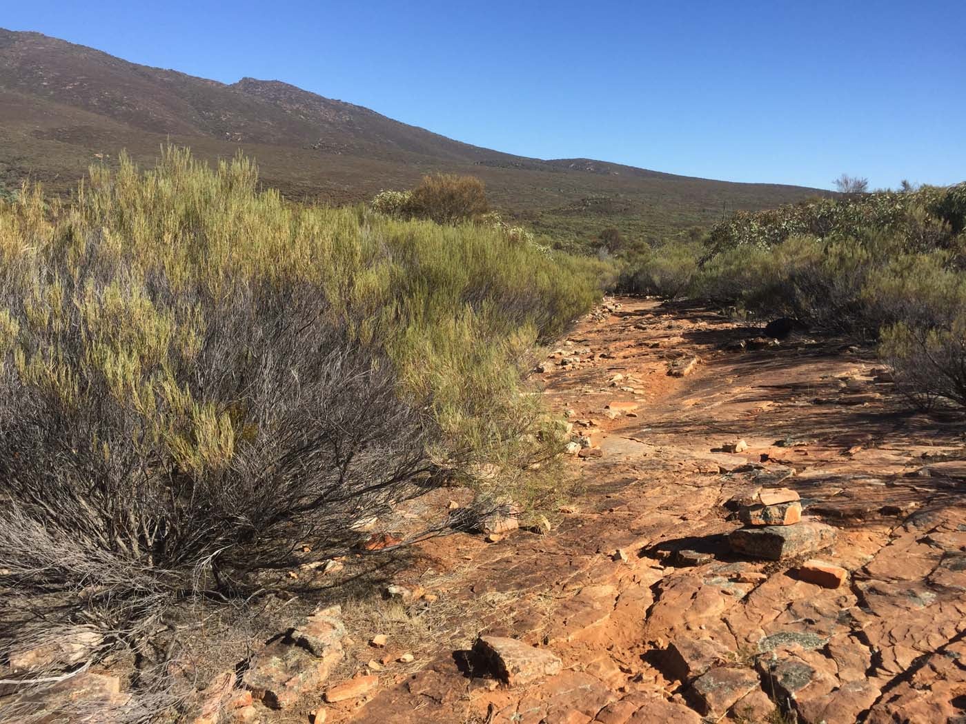 Malloga falls flinders ranges (6)