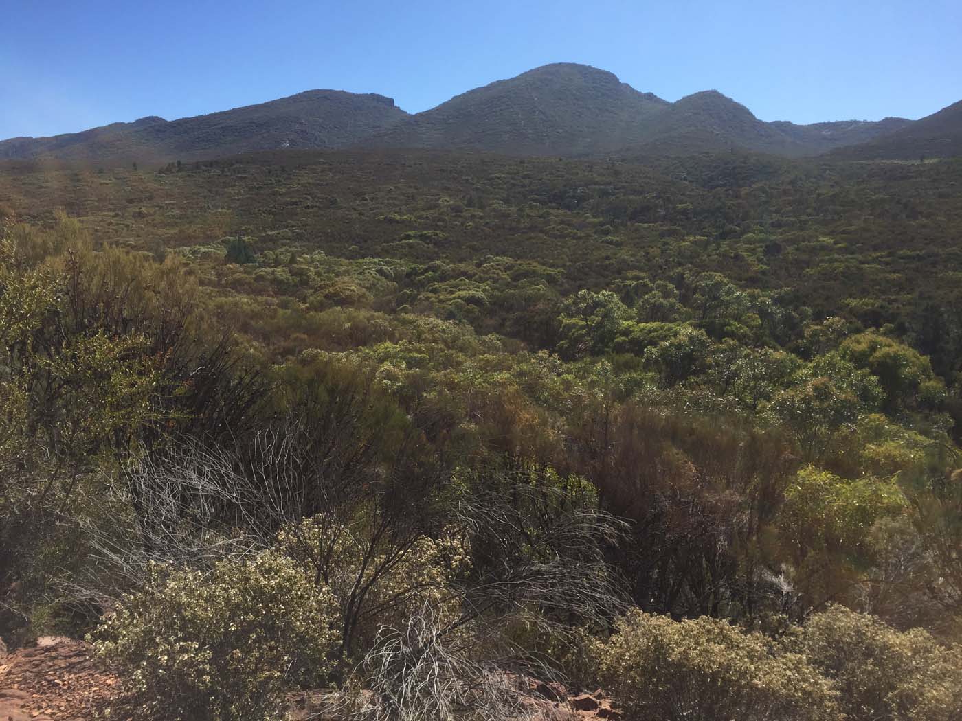 Malloga falls flinders ranges (9)