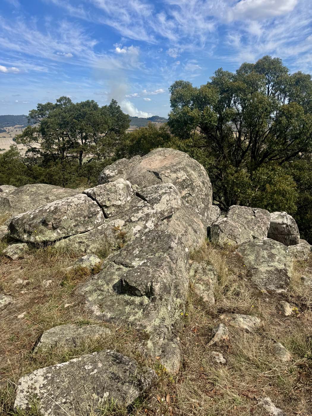 Manna gums track (1)