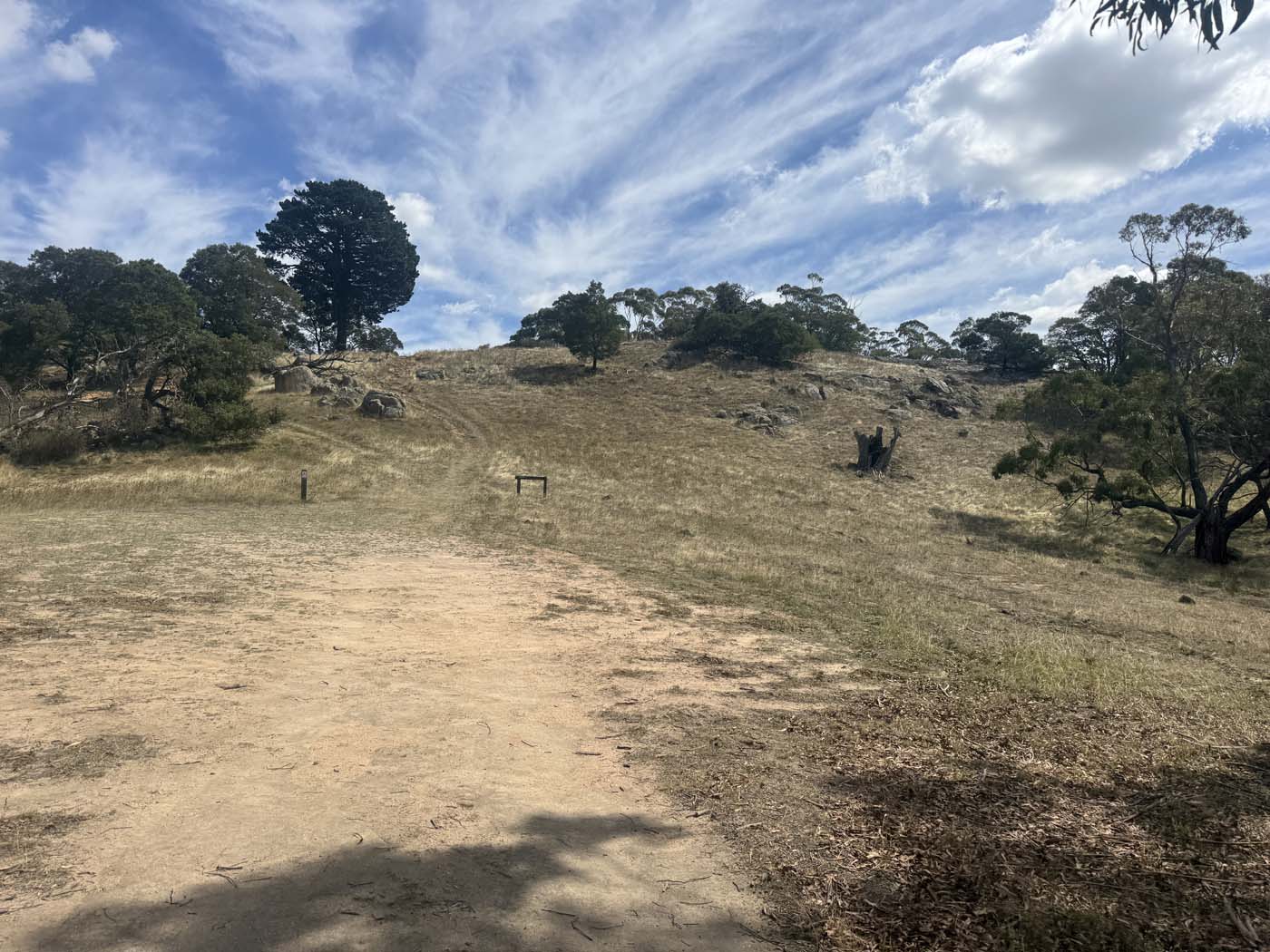 Manna gums track (1) 1