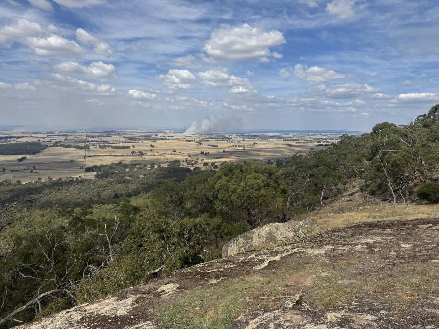 Manna gums track (2) 1