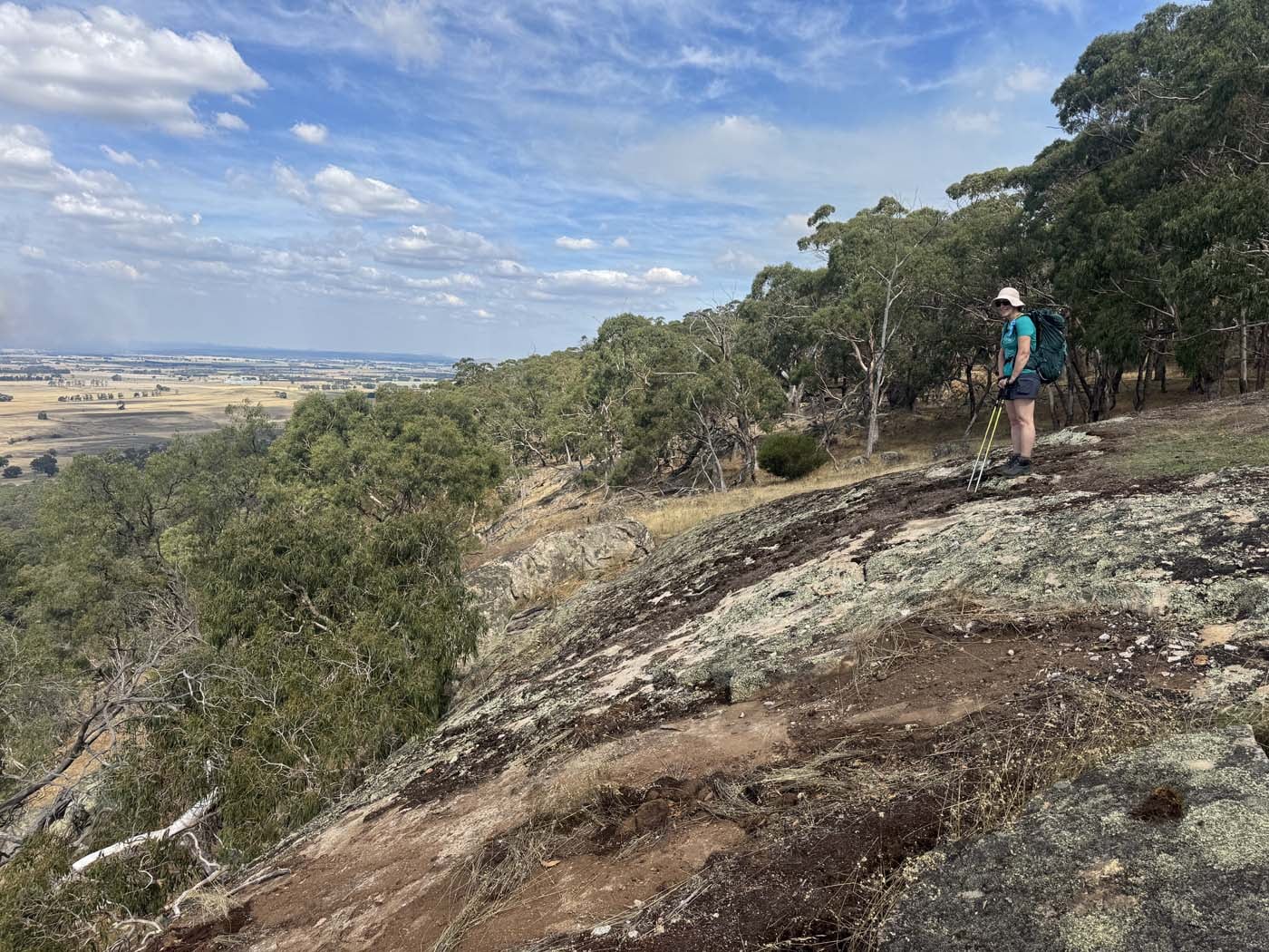 Manna gums track (3) 1