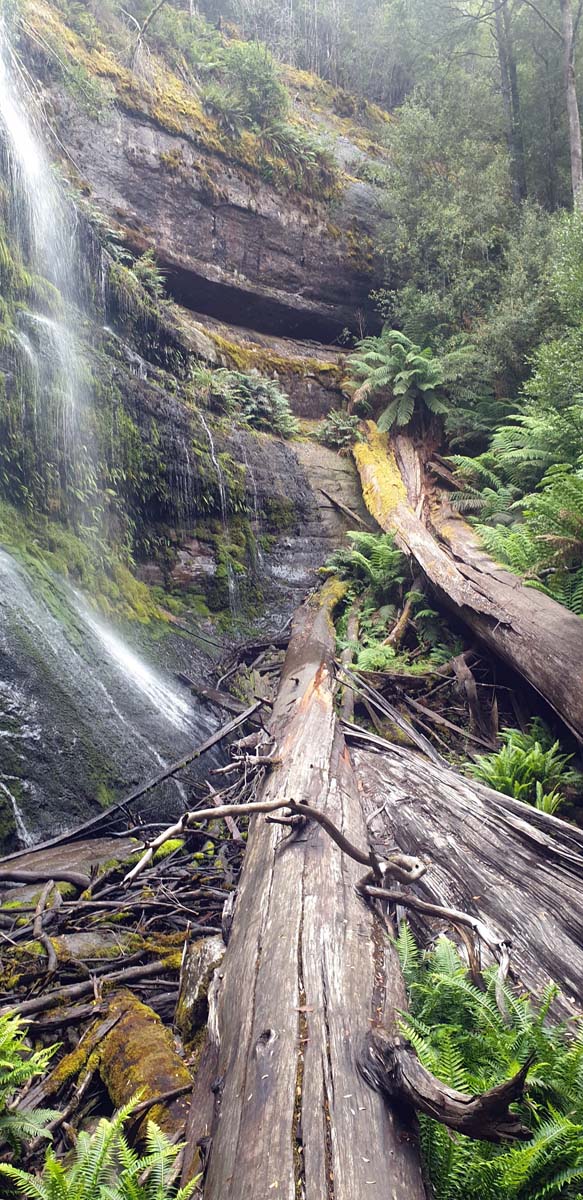 Marriotts falls walk 1