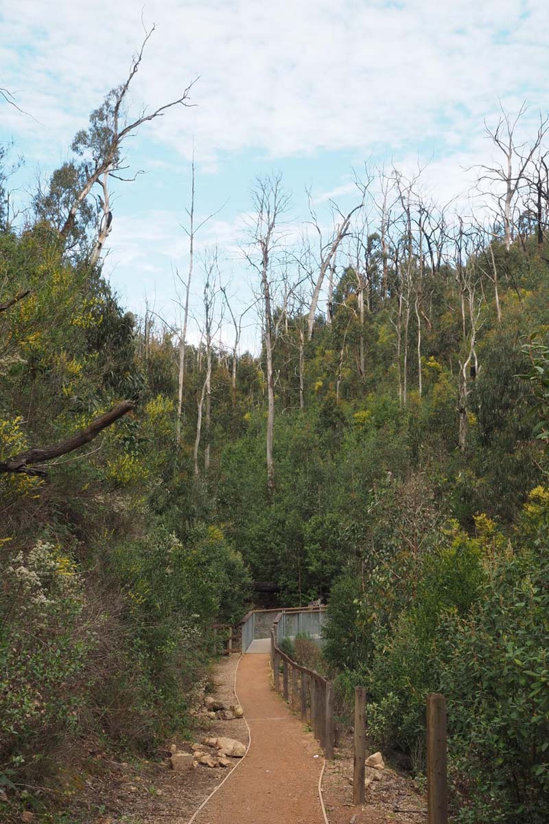 Masons falls circuit hike 13