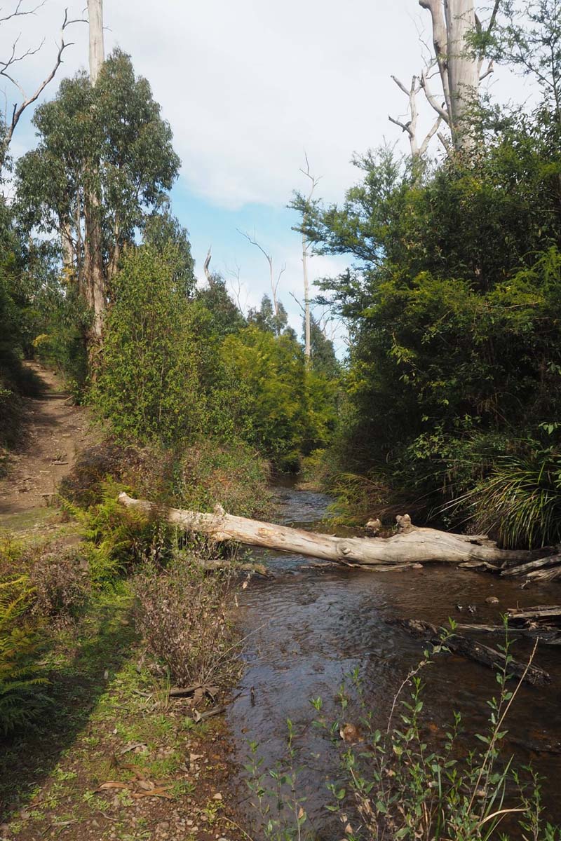 Masons falls circuit hike 16