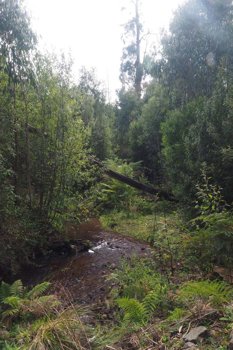 Masons falls circuit hike 2