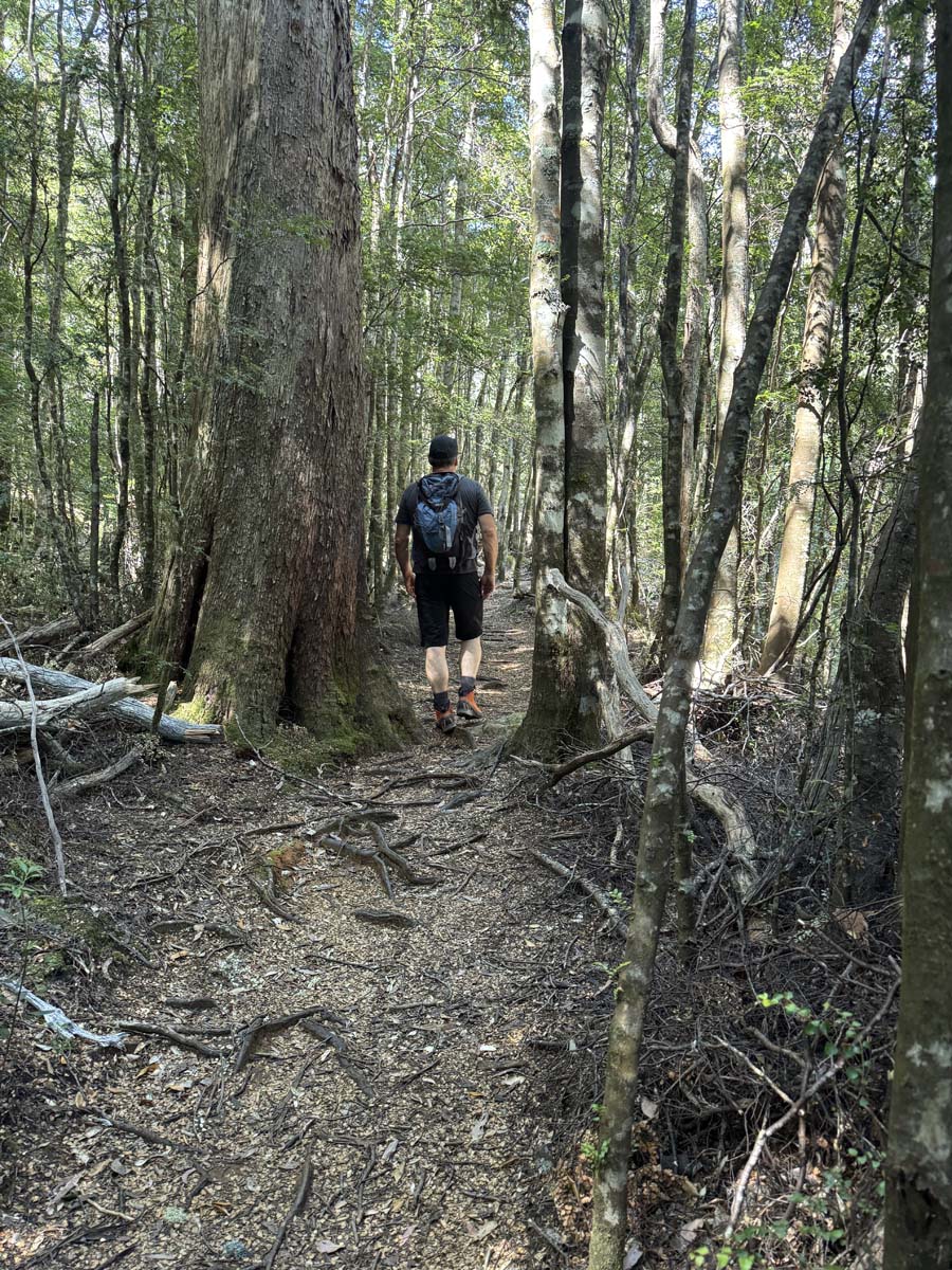 Meander falls circuit hike 1