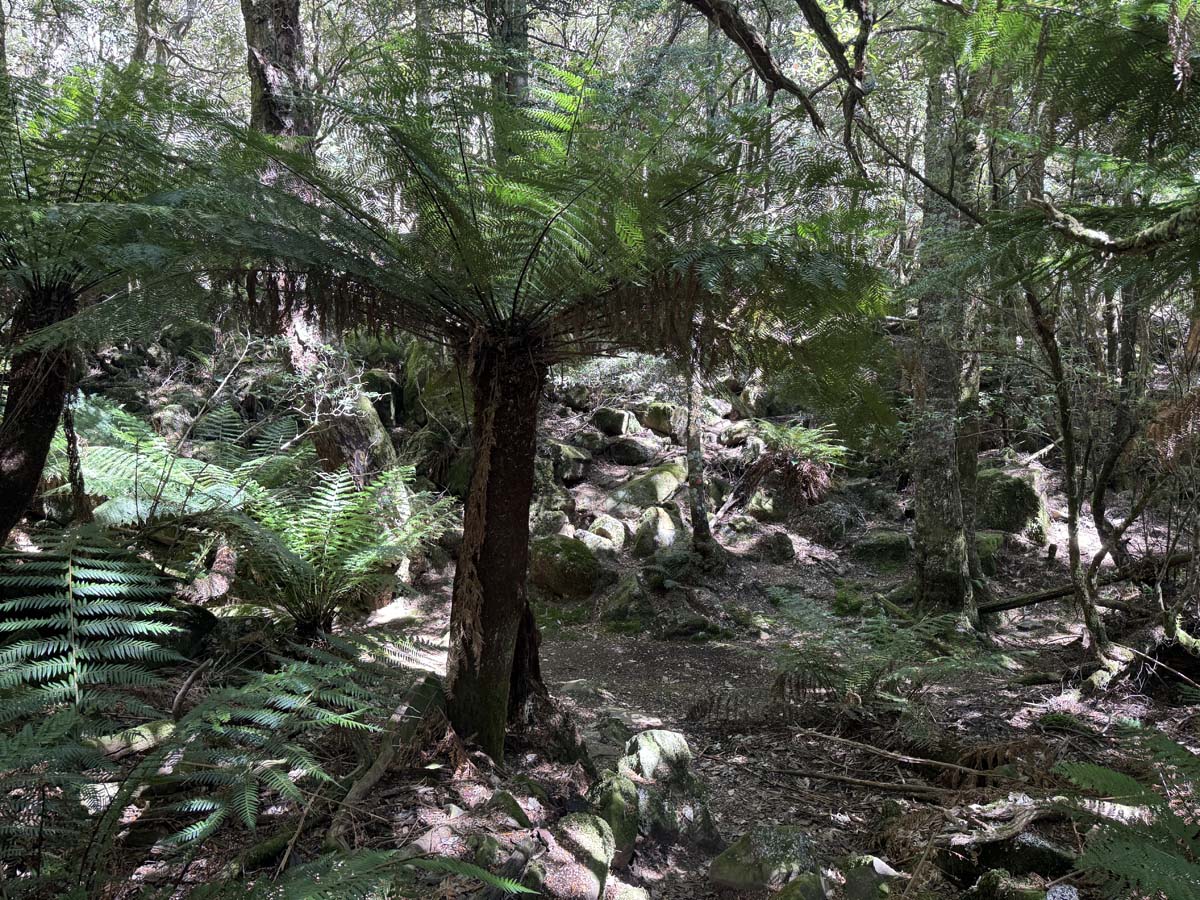 Meander falls circuit hike 6