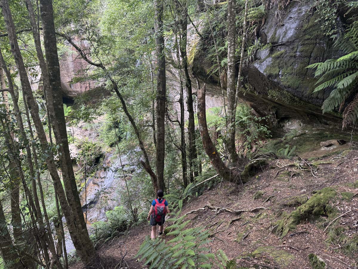Meander falls circuit hike 80
