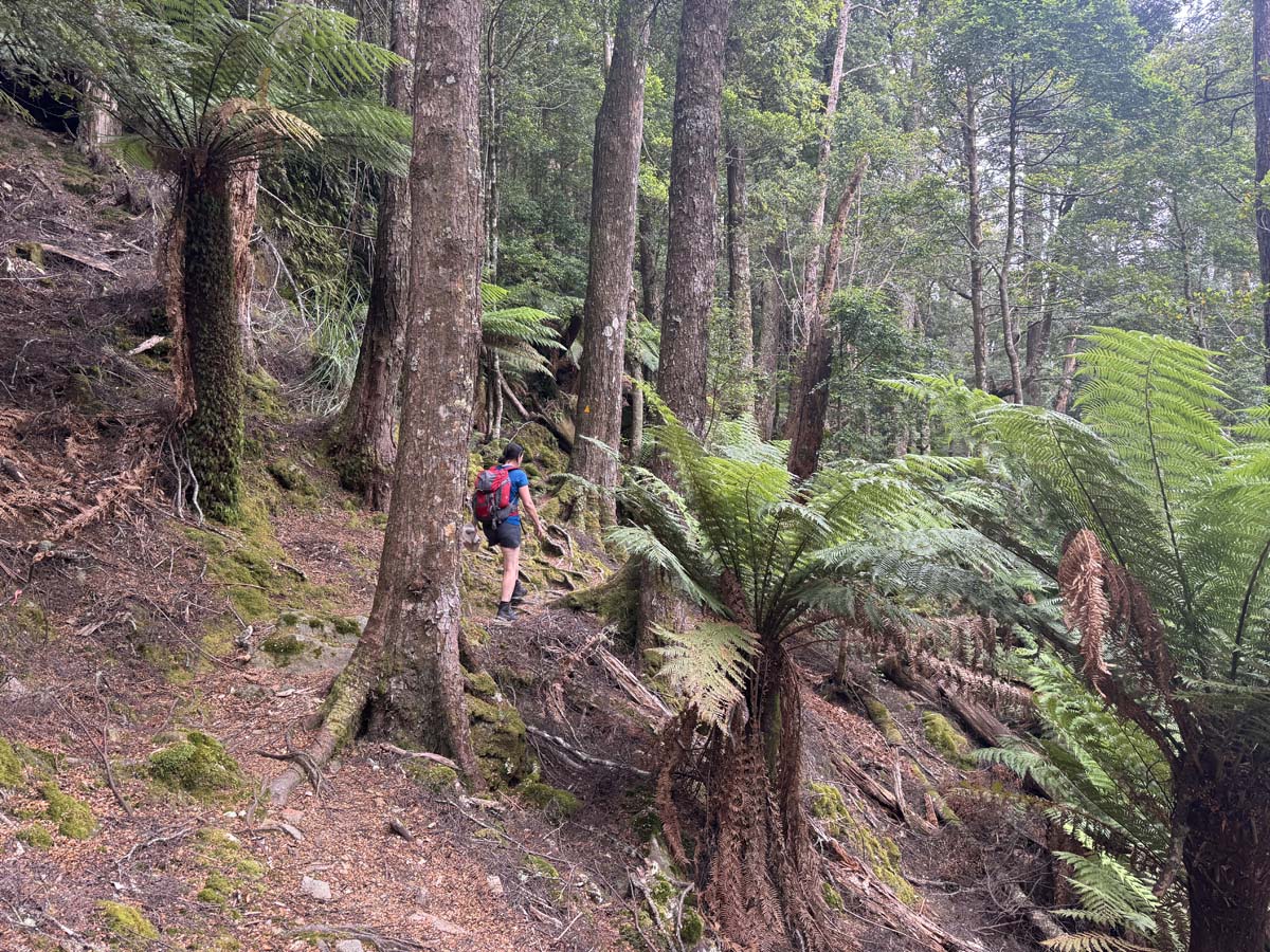 Meander falls circuit hike 91