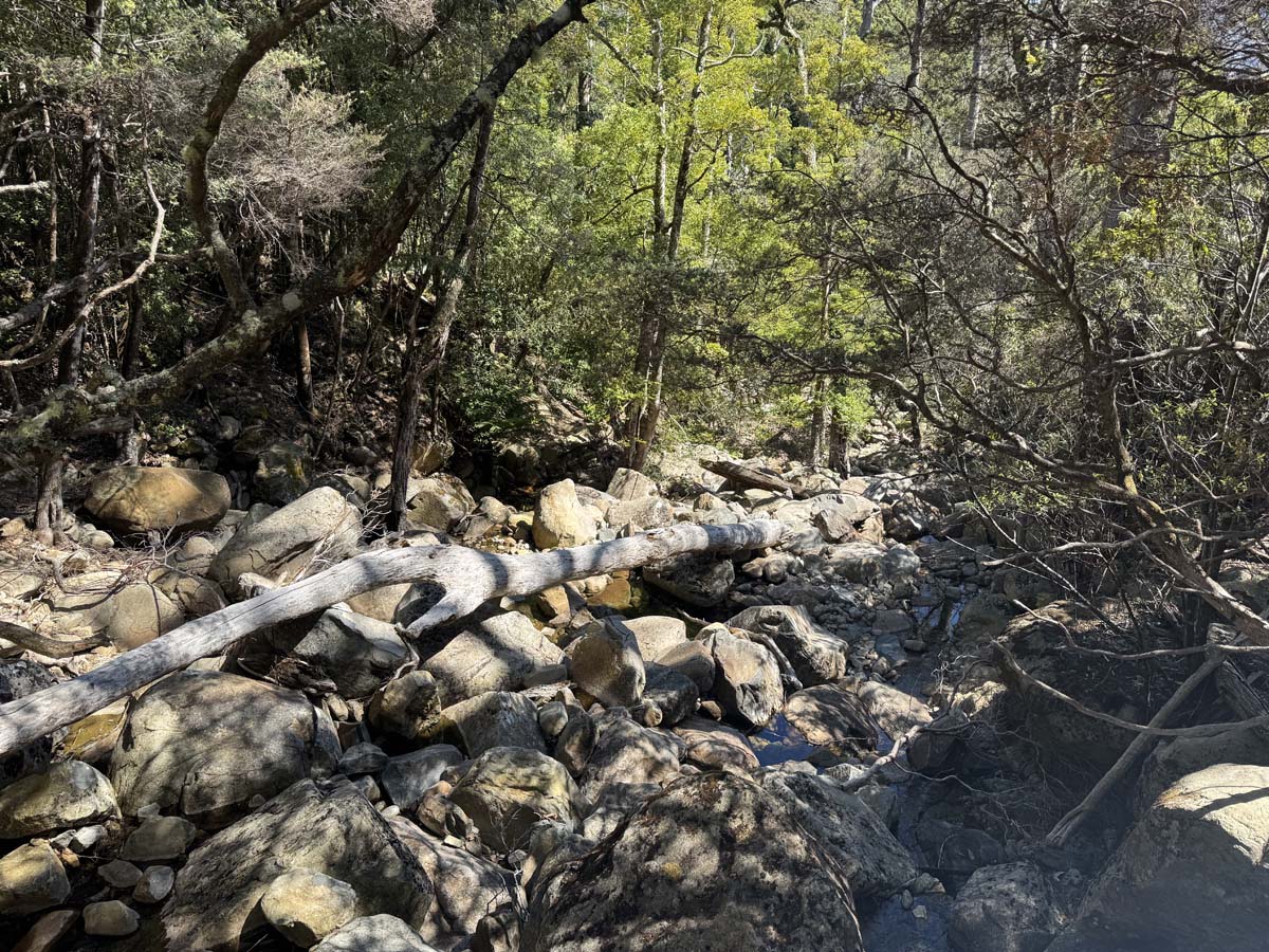 Meander falls hike 4