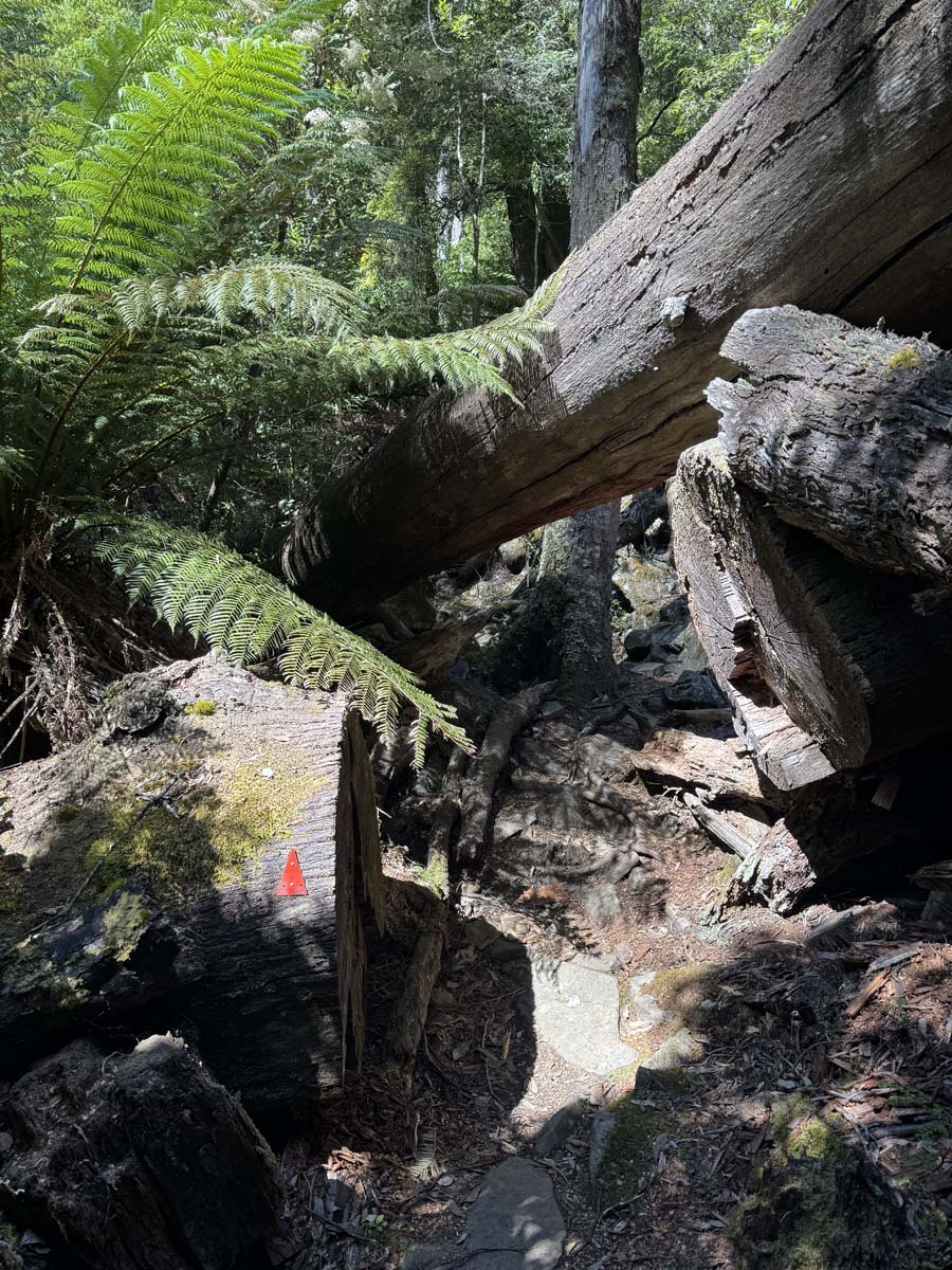 Meander falls hike 5