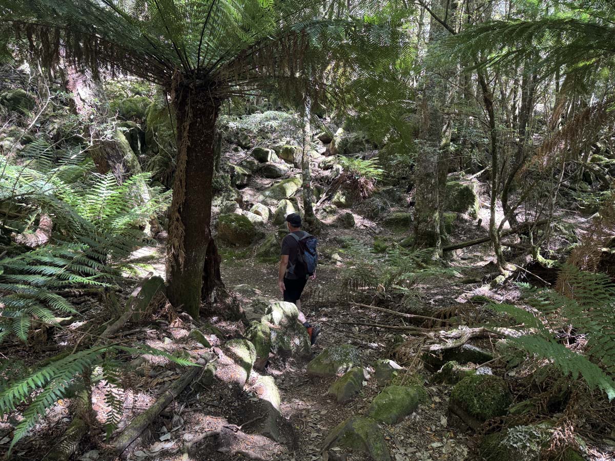 Meander falls hike 8
