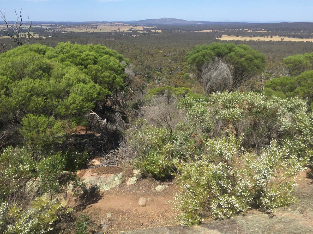 Melville caves walk 3
