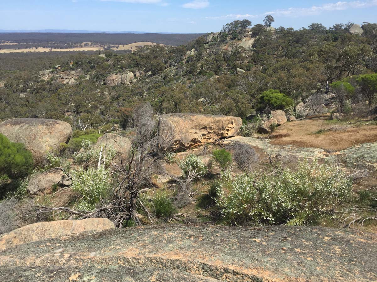 Melville caves walk 4