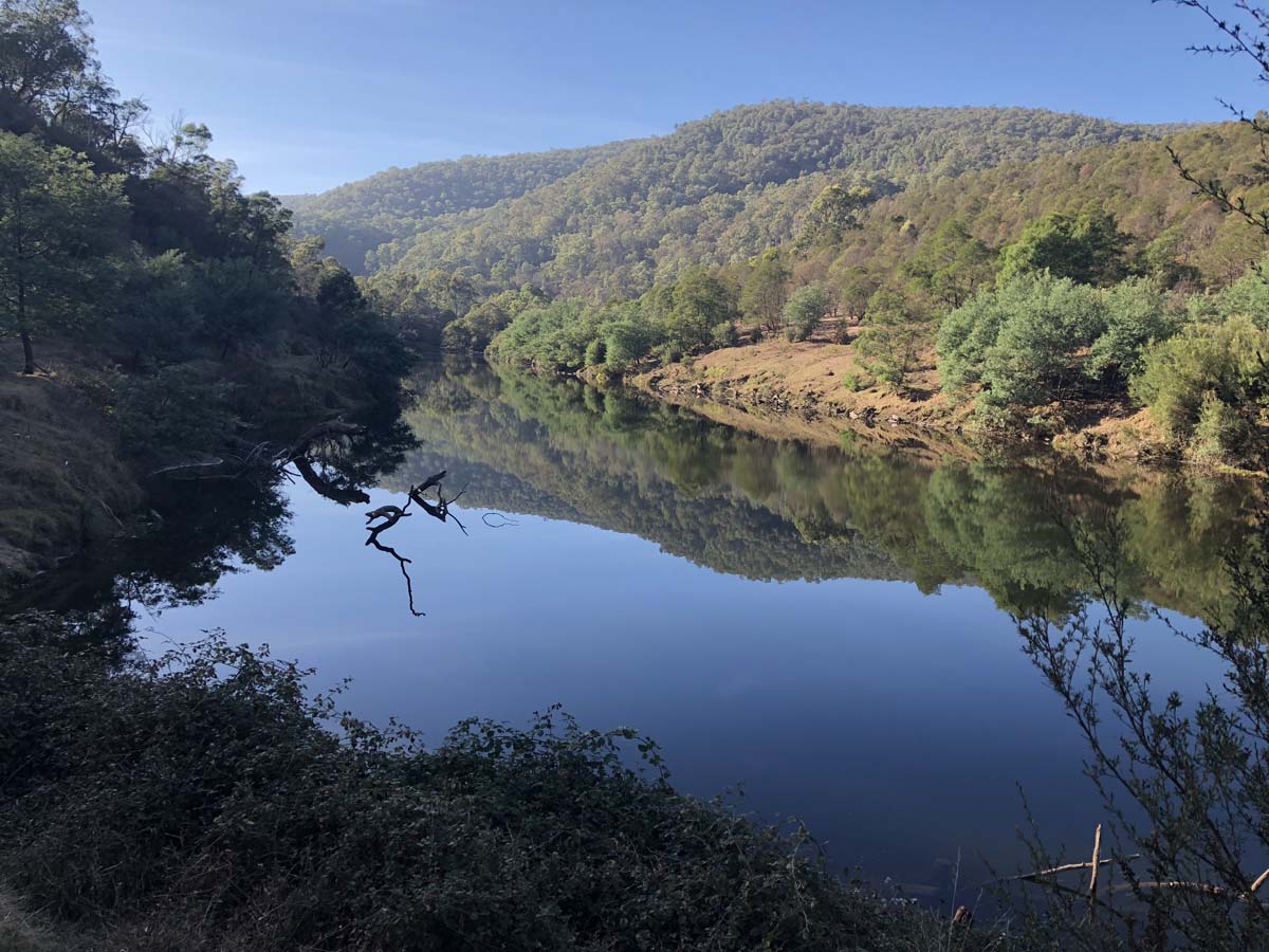 Mitchell river walking trail 2