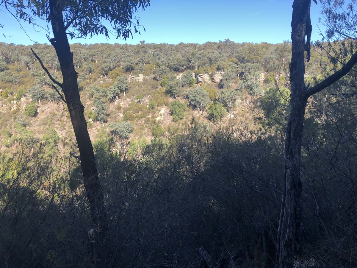 Mitchell river walking trail 30