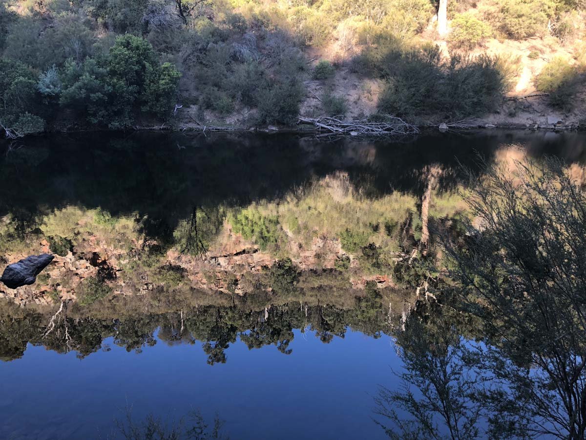 Mitchell river walking trail 37