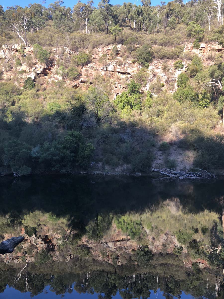 Mitchell river walking trail 38