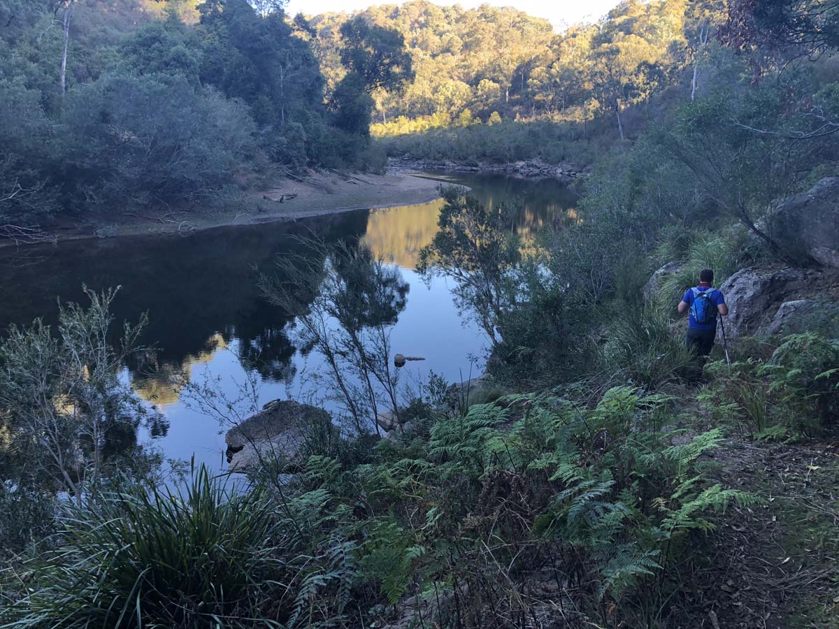 Mitchell river walking trail 40