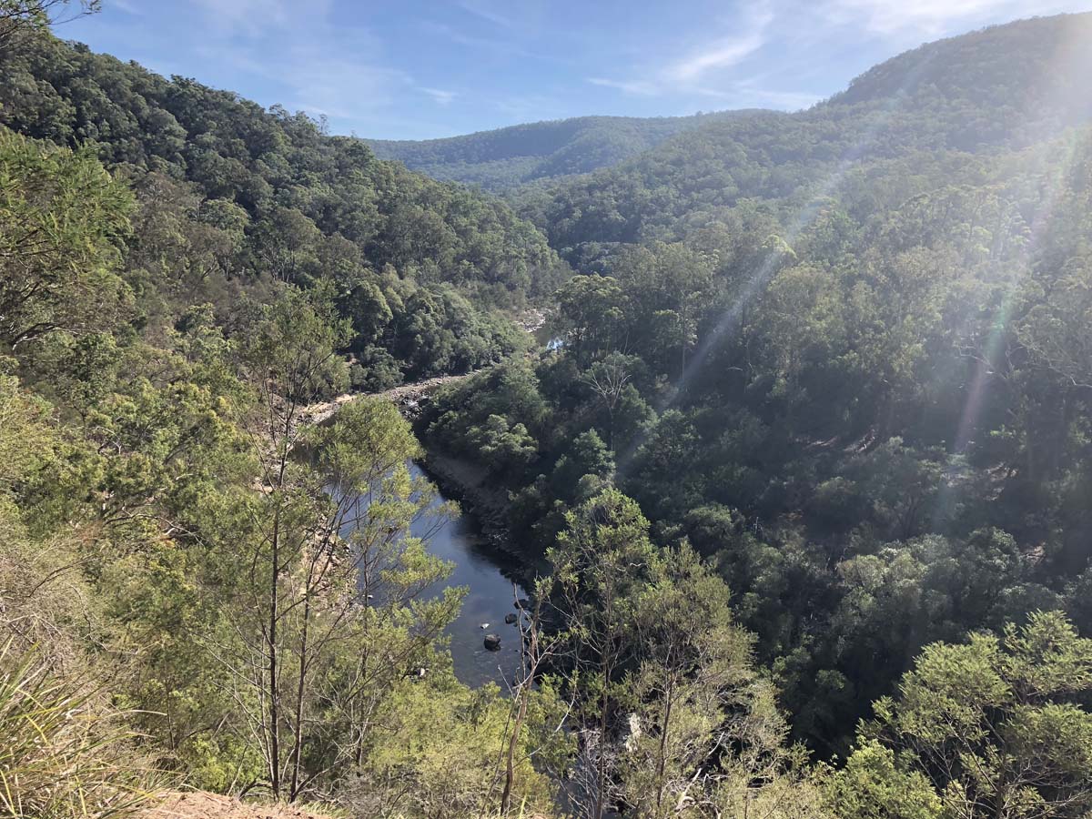 Mitchell river walking trail 5