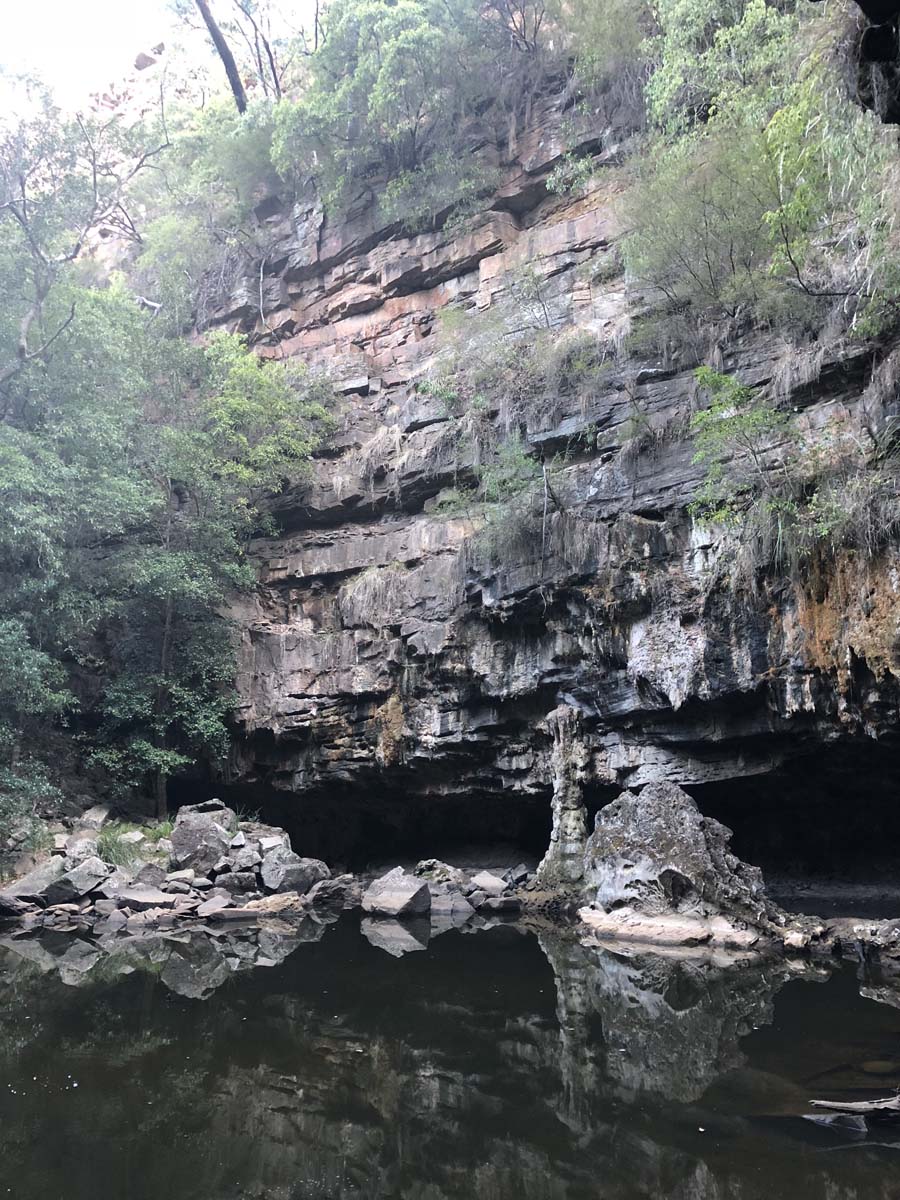 Mitchell river walking trail 53