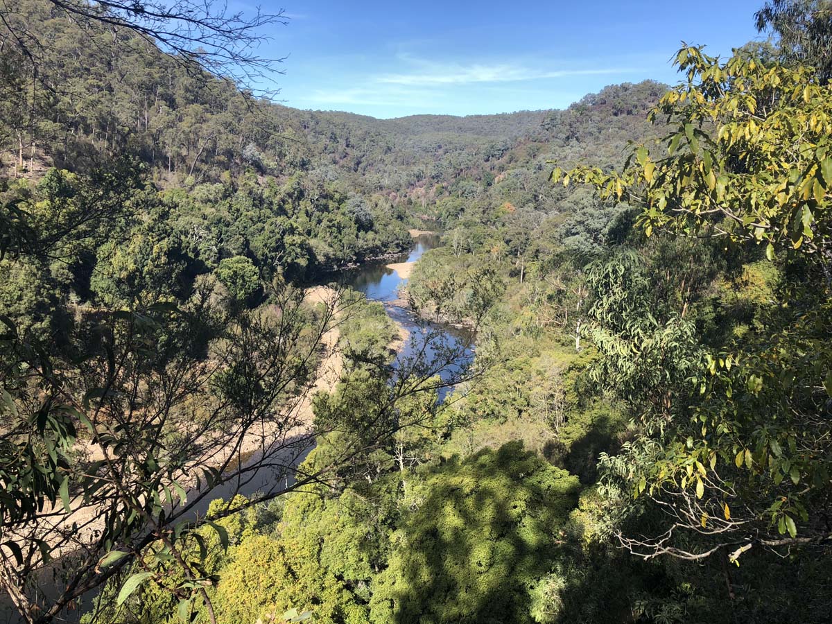 Mitchell river walking trail 6