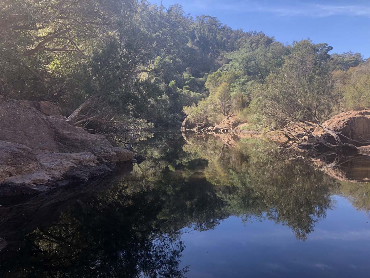 Mitchell river walking trail 9
