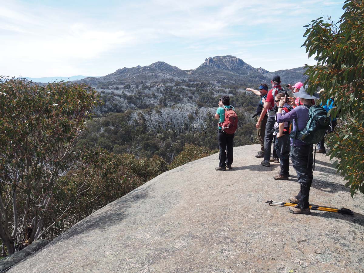Mollison galleries hike 1