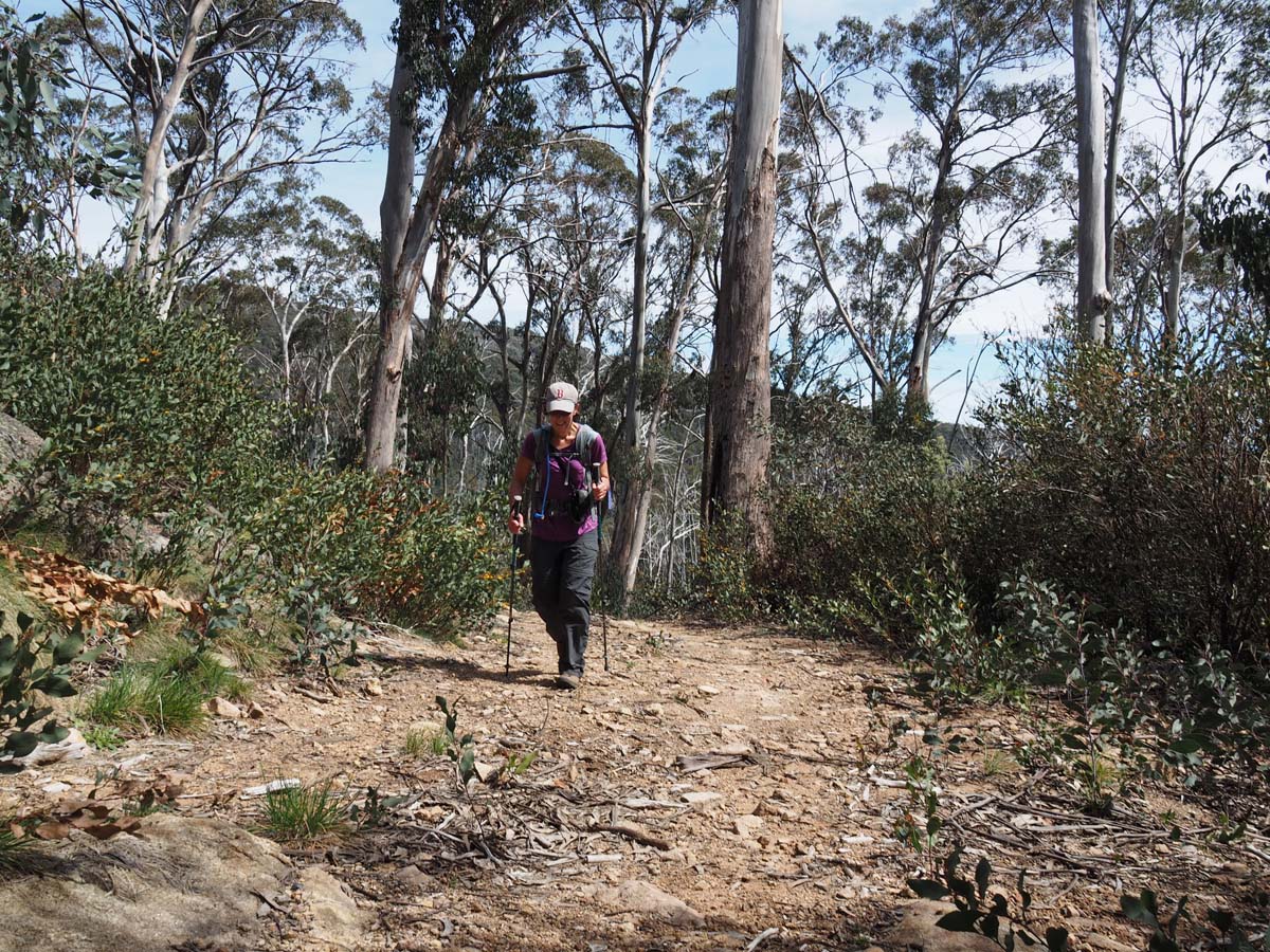 Mollison galleries hike 12