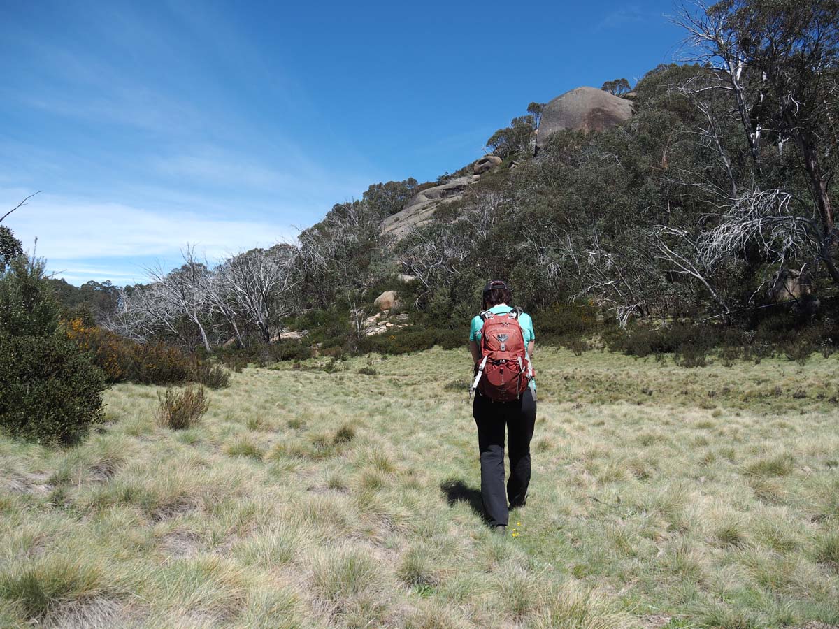 Mollison galleries rocky creek circuit hike 21