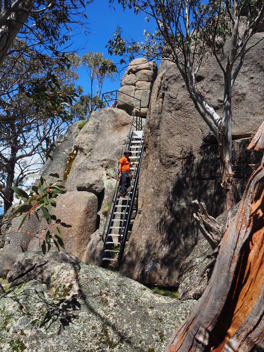 Mollison galleries rocky creek circuit hike 27