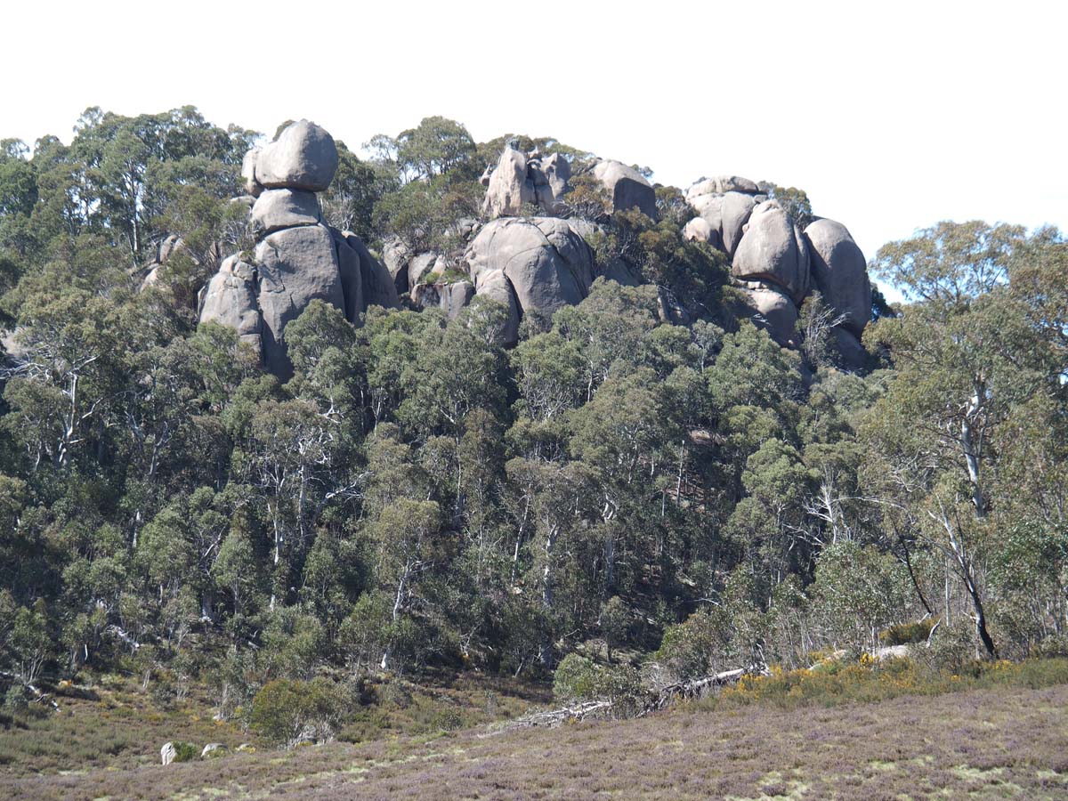 Mollison galleries rocky creek circuit hike 3