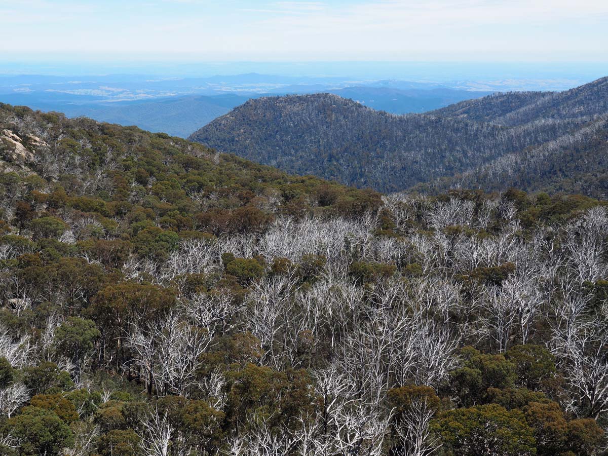 Mollison galleries rocky creek circuit hike 31