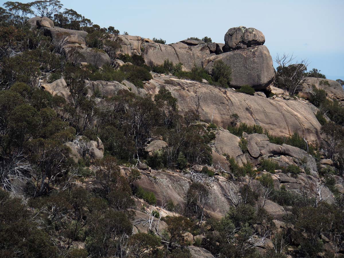 Mollison galleries rocky creek circuit hike 33