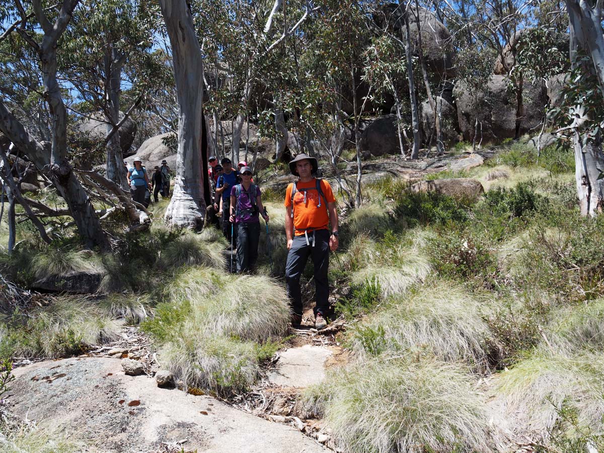 Mollison galleries rocky creek circuit hike 35