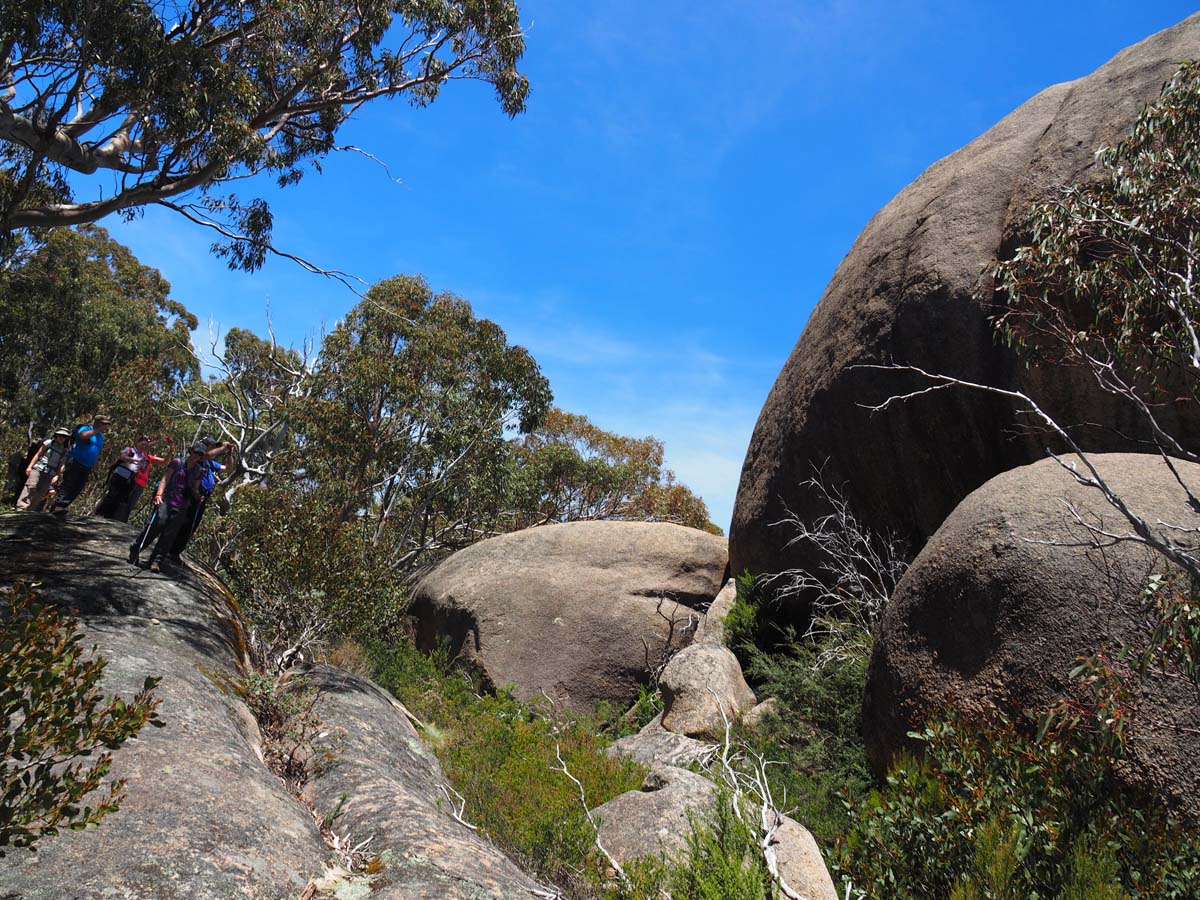Mollison galleries rocky creek circuit hike 45