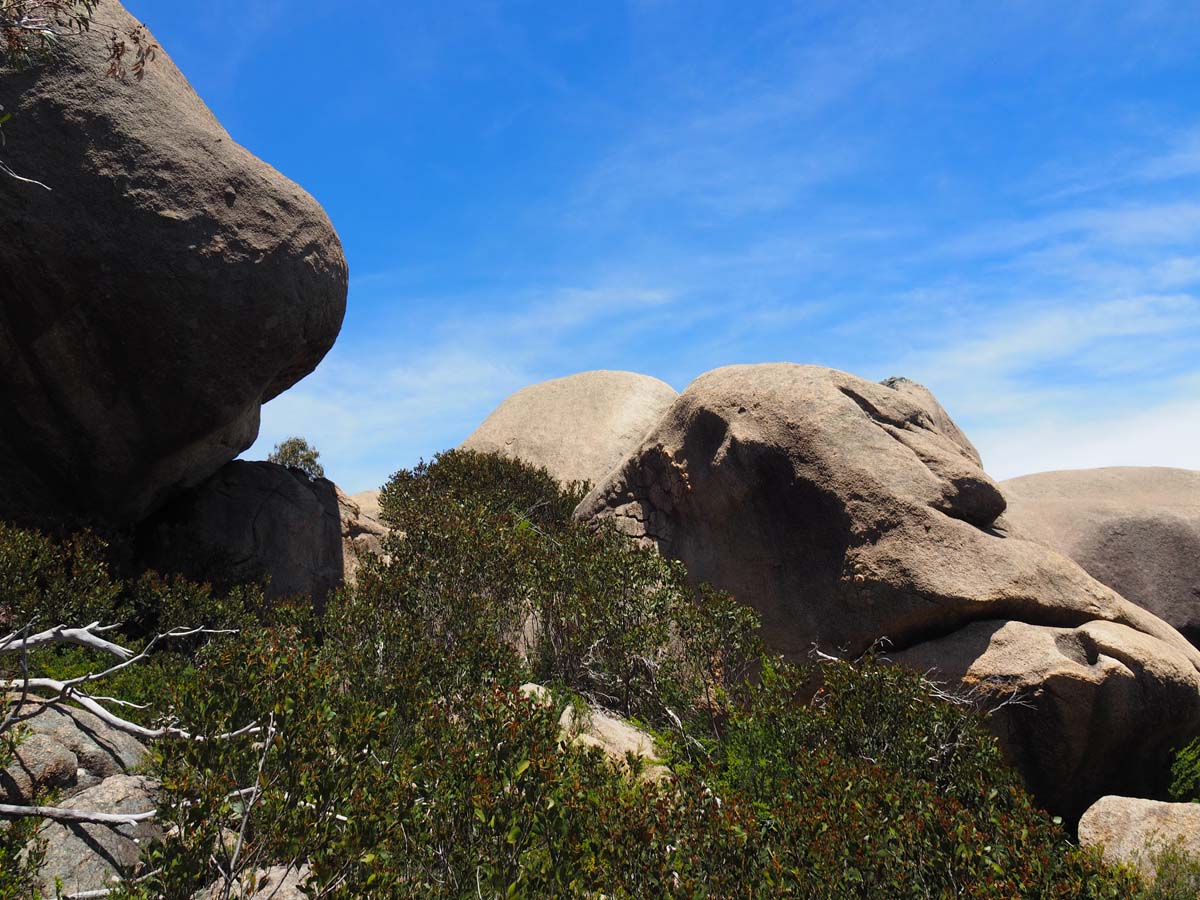 Mollison galleries rocky creek circuit hike 46
