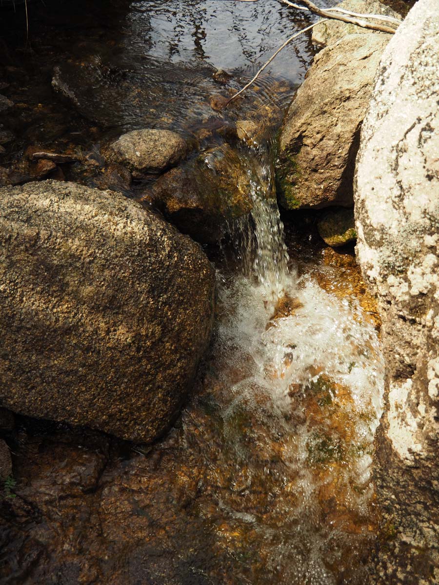 Mollison galleries rocky creek circuit hike 72
