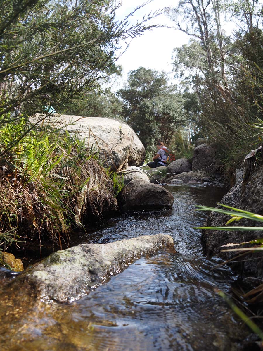 Mollison galleries rocky creek circuit hike 74