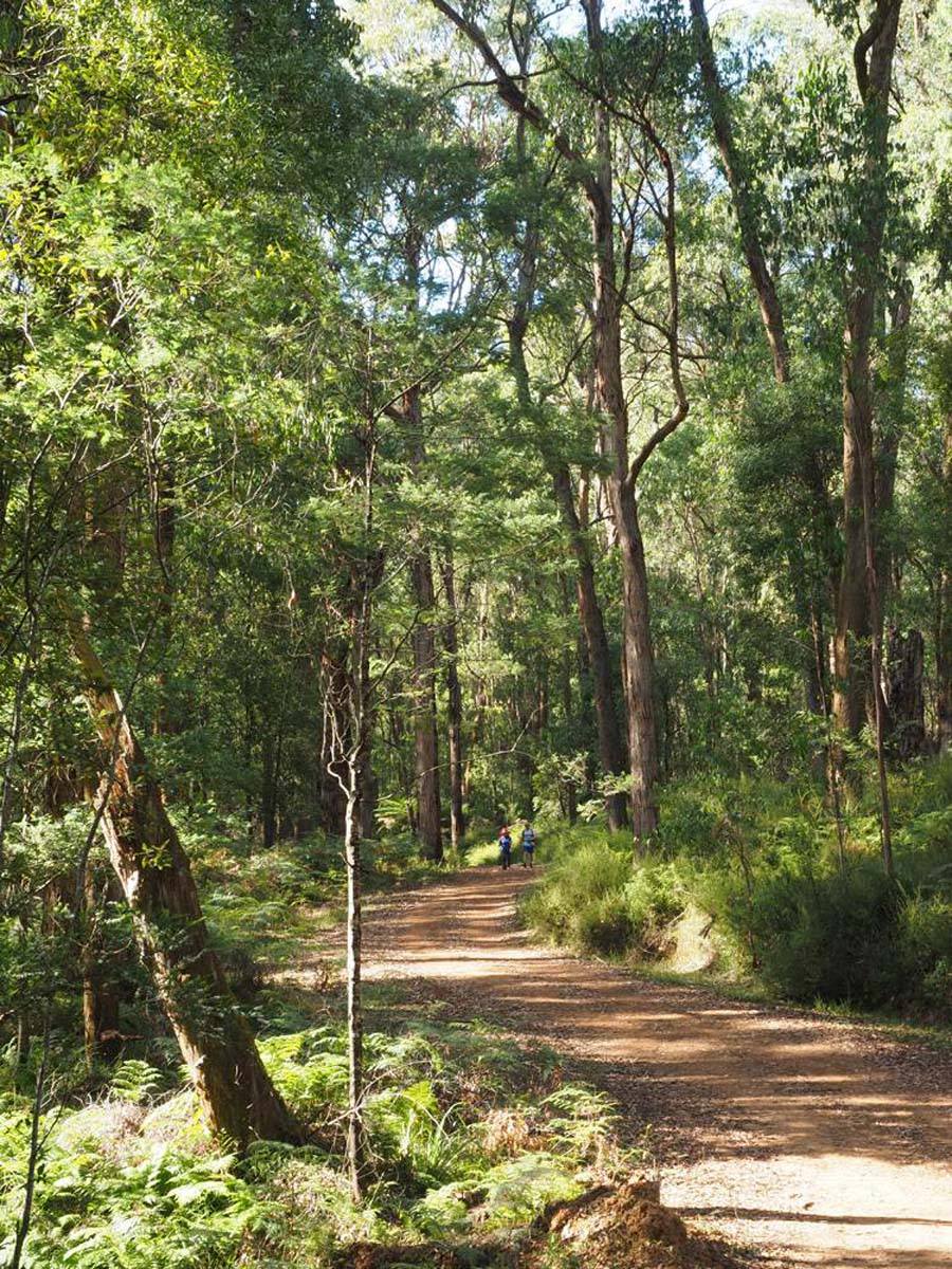 Monda track 1