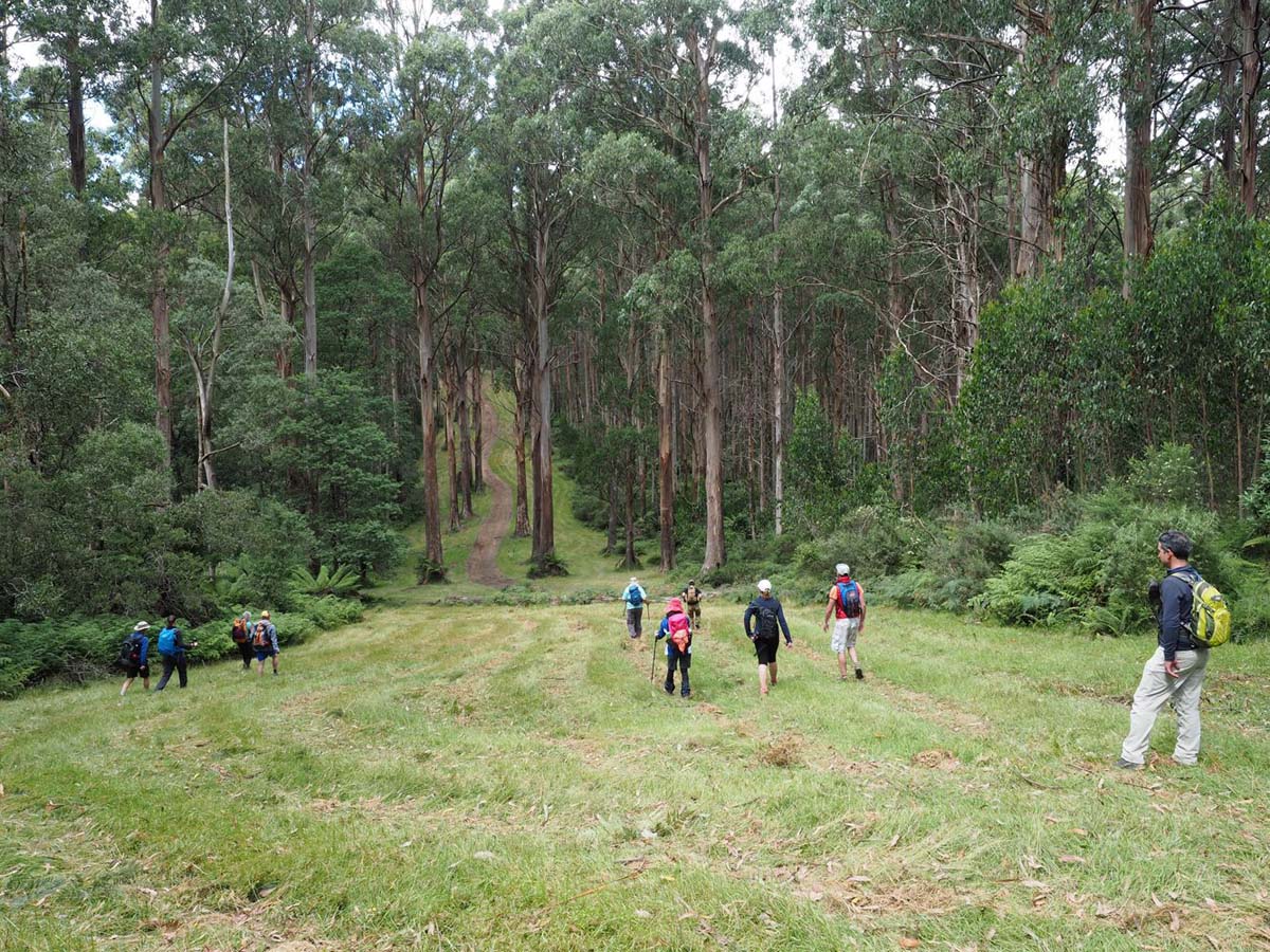 Monda track 3