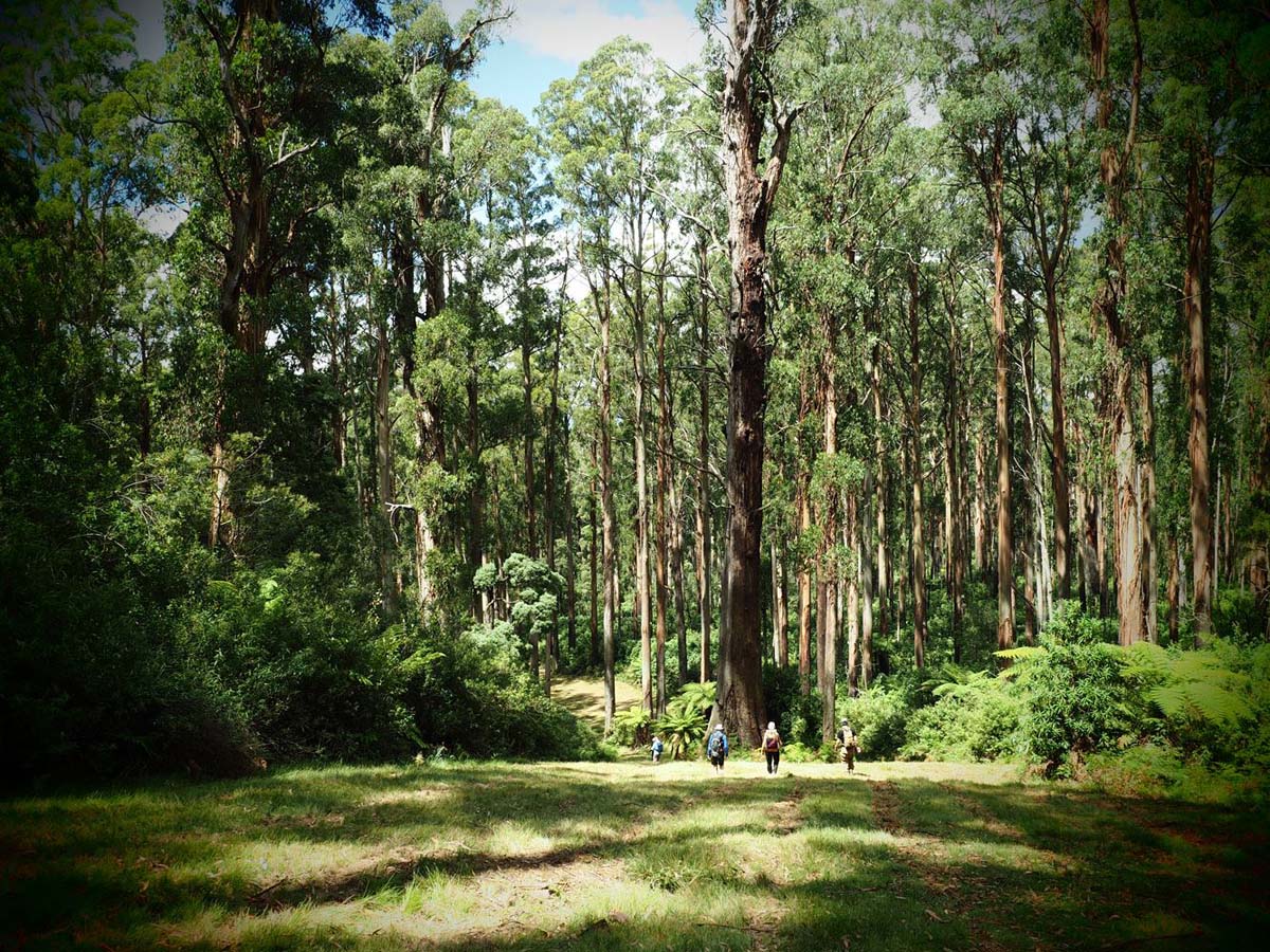 Monda track 6